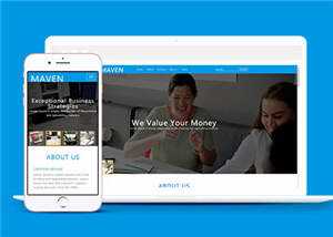 专业咨询服务展示HTML网页模板下载 - 项目资源网