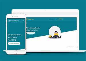 宽屏保险公司客户服务网站模板 - 项目资源网
