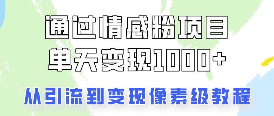 关于情感粉变现项目，我是怎么做到单天赚1000+的？从引流到变现像素级教程 - 项目资源网