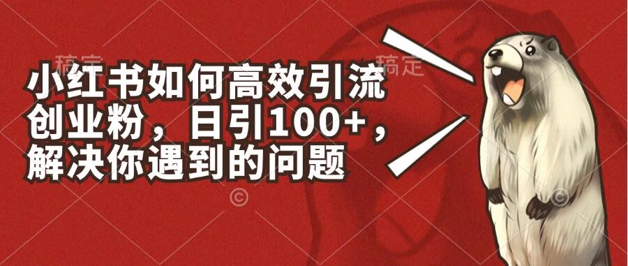 小红书如何高效引流创业粉，日引100+，解决你遇到的问题 - 项目资源网