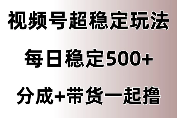 视频号超稳定赛道，长久不衰，单日稳定500+ - 项目资源网