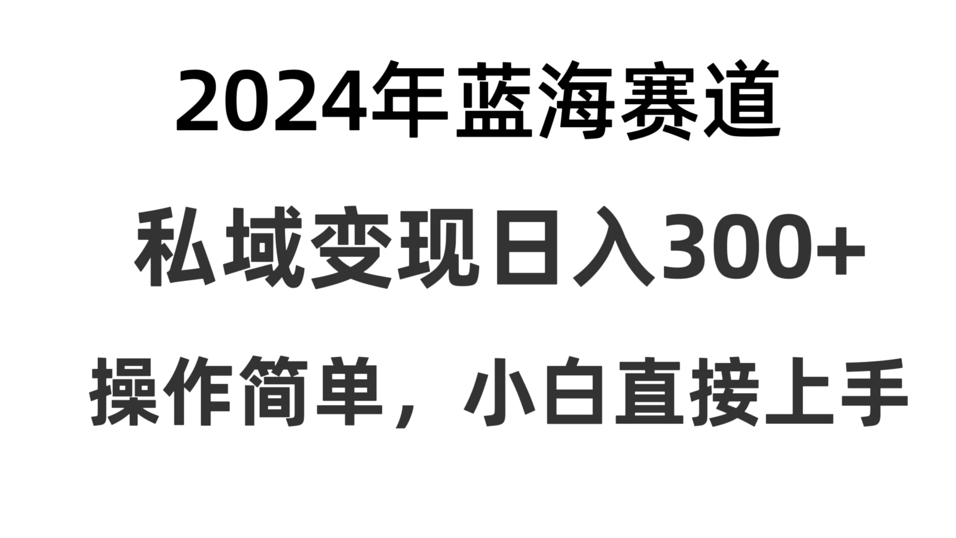 2024抖音蓝海赛道，私域变现日入300+，操作简单，每年只需一小时，纯小白可直接上手 - 项目资源网