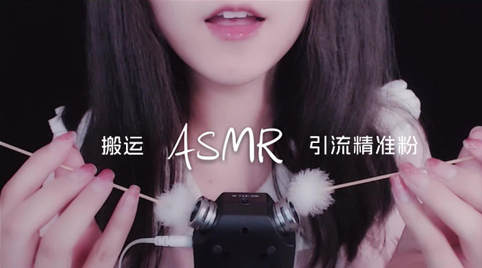 靠搬运 ASMR 视频，引流精准粉，私域单日变现 500+ - 项目资源网