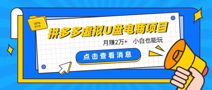 拼多多虚拟U盘电商红利项目：月赚2万+，新手小白也能玩 - 项目资源网