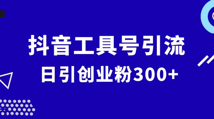 抖音工具号引流玩法，日引创业粉 300+ - 项目资源网