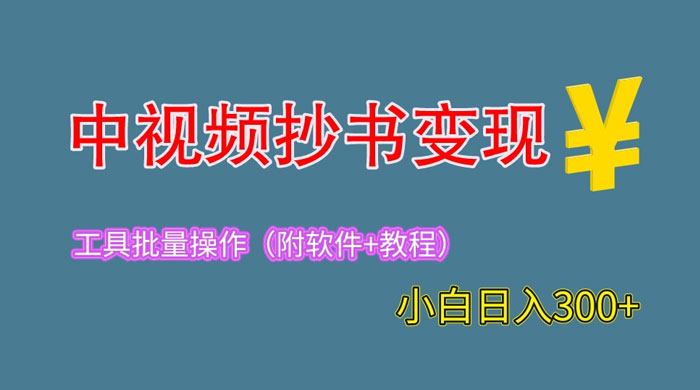 2023 中视频抄书变现：特别适合新手操作的副业「附工具+教程」 - 项目资源网