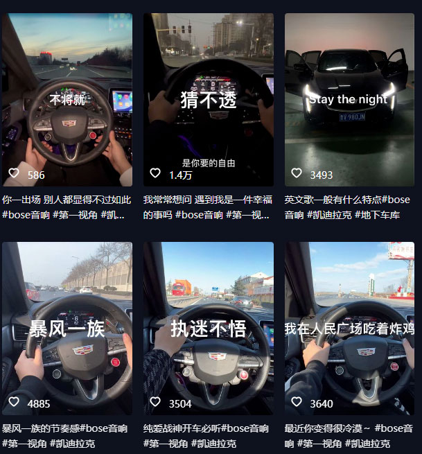 图片[2] - 抖音开车视频项目：0基础操作，每天五分钟，月入过万 - 项目资源网